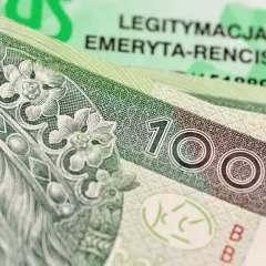 Złotówki i legitymacja emeryta-rencisty. Czy komornik może zająć rentę rodzinną po mężu?