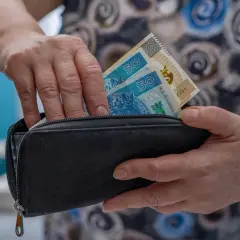 Ręce chowają banknoty 50 zł do portmonetki. Czy po usunięciu nerki należy się renta?